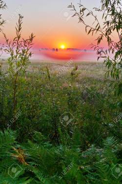 SUNRISE OVER THE MEADOW