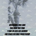 $45 Palm Tree Trim