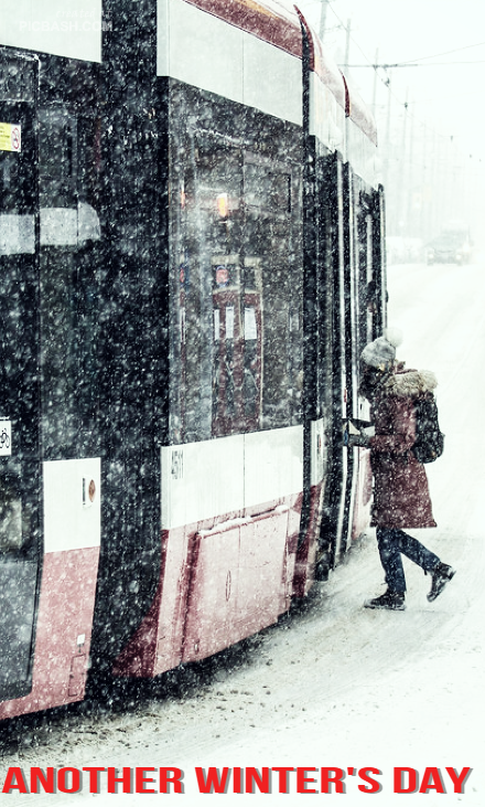 Just another winter's day in Toronto