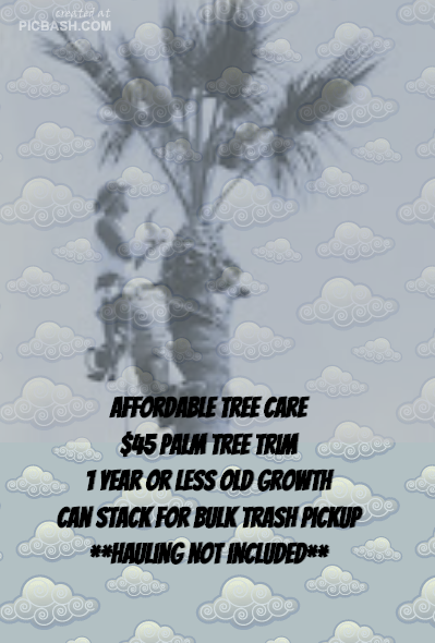 $45 Palm Tree Trim