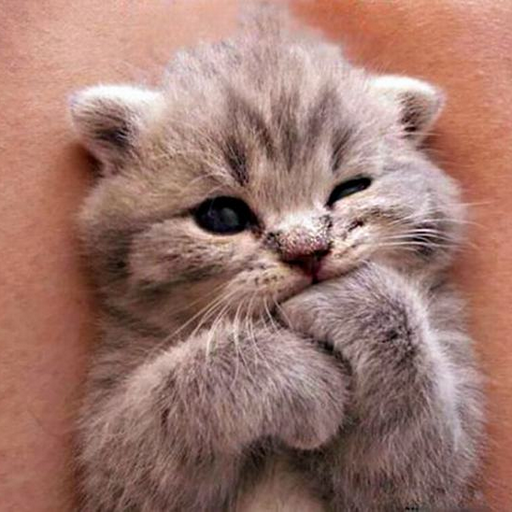Please love this pic.