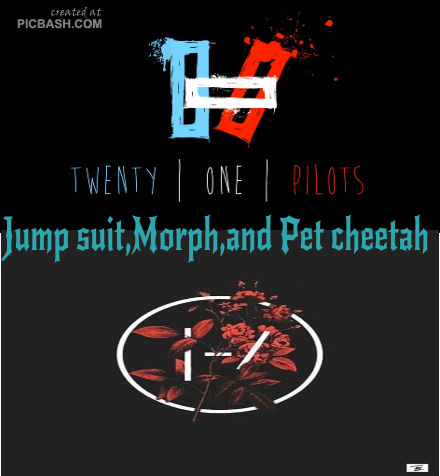 Twenty one pilots