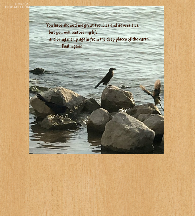 Psalm 72:20