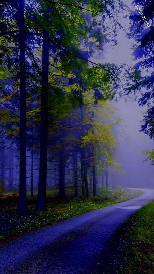 Lonely Road